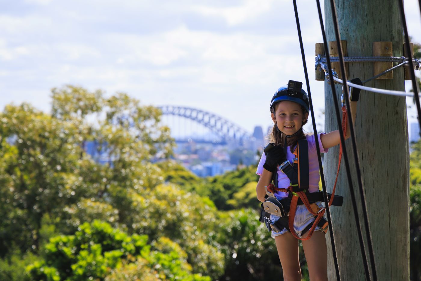 See the Zoo from a birds-eye view