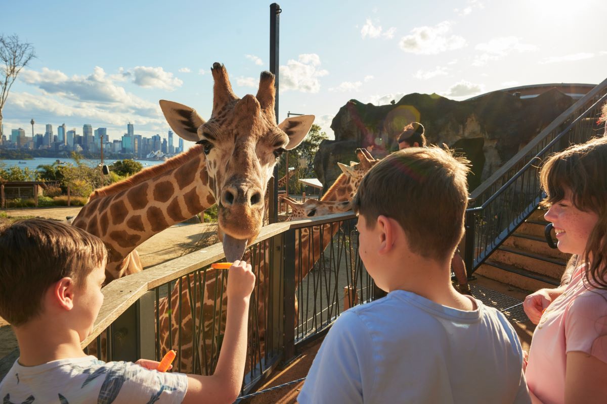 Visit Sydney