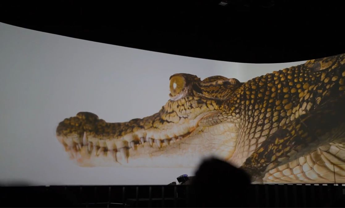 Wildlife Cinema